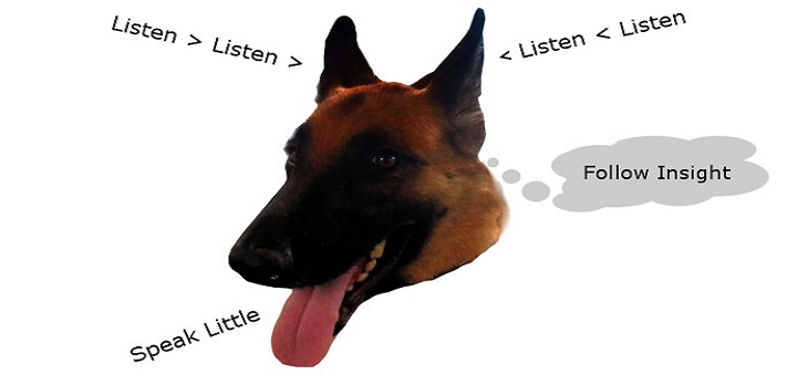 Listen - Listen - Listen - Listen - Follow Insight and Speak Little