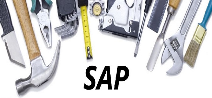 GrassDew provide Maintenance & Production Support for your SAP...!